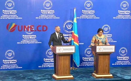 Mvita ku luseka lua Est wa ditunga: Diangata dia Bunagama didi dipangisha Nord-Kivu mfualanga mbombu mujima wa ndola ya bena amerika ku ngondu yonso ( bifunda mu mukanda mutoka)