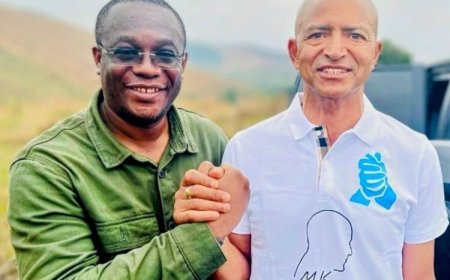 RDC : Hervé Diakiese nommé porte-parole de l’Ensemble pour la République