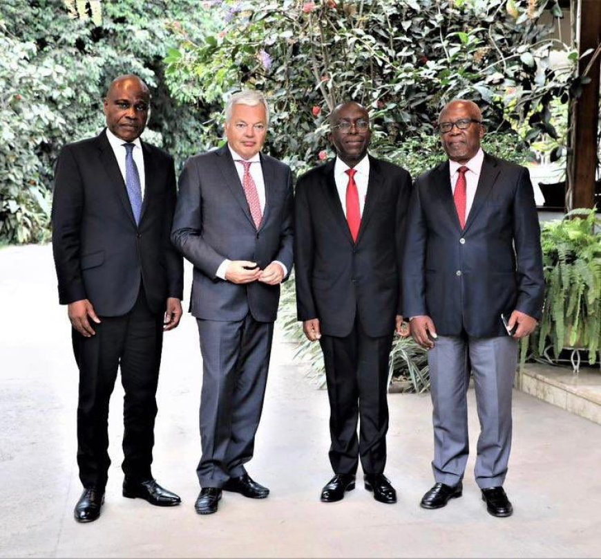 RDC - Union Européenne : Didier Reynders et les leaders de l’opposition échangent sur le processus électoral