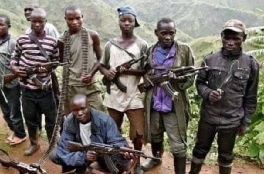 [Tribune] Page d’histoire : « Aux origines de la guerre de l’Ituri », (Thomas Luhaka Losendjola)