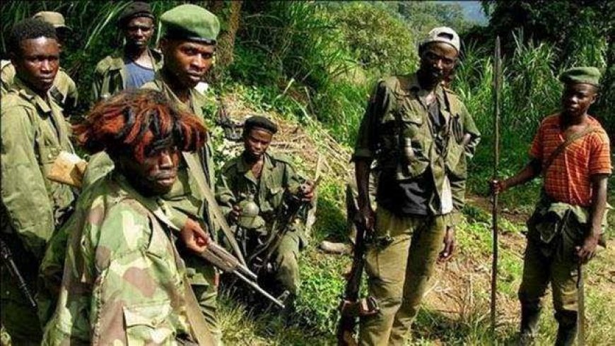 Tension FARDC - M23 : les terroristes reprennent le contrôle de plusieurs localités de la RDC