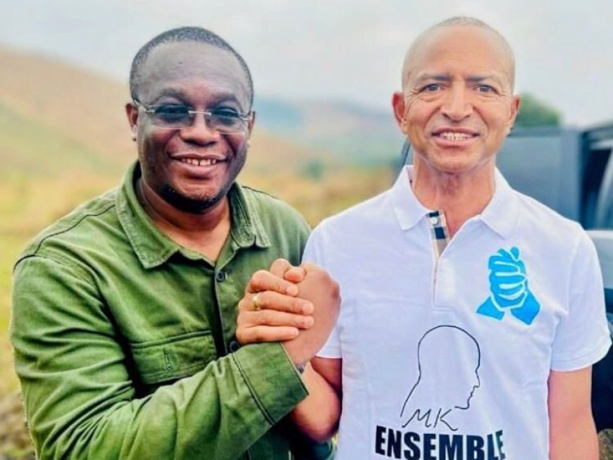 RDC : Hervé Diakiese nommé porte-parole de l’Ensemble pour la République