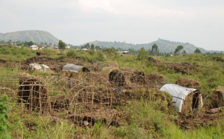 Guerre dans l’Est :  7 civils tués par les M23 à Rutshuru pour avoircollaboré avec les jeunes résistants Wazalendo (communiqué FARDC)