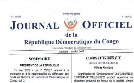 RDC : Enfin, la Loi relative à la protection et à la responsabilité du défenseur des droits de l'homme publiée au Journal Officiel
