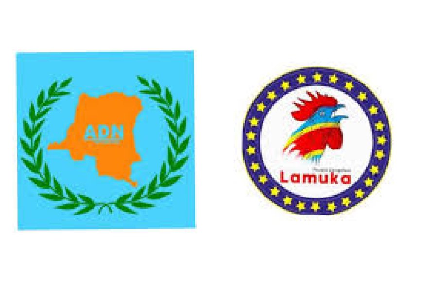 RDC : Un parti politique membre de Lamuka se retire suite à l'annonce de Fayulu de participer à l'élection présidentielle de 2023