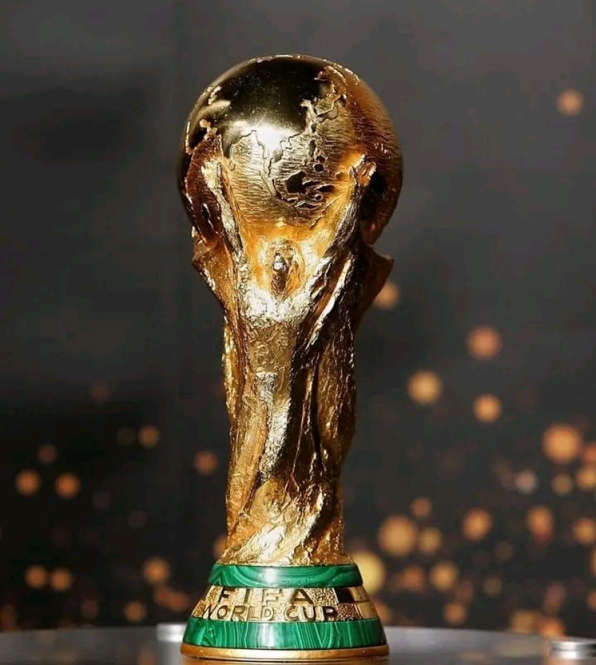 Sport : Le Maroc, l'Espagne et le Portugal organiseront  le Mondial de Football 2030