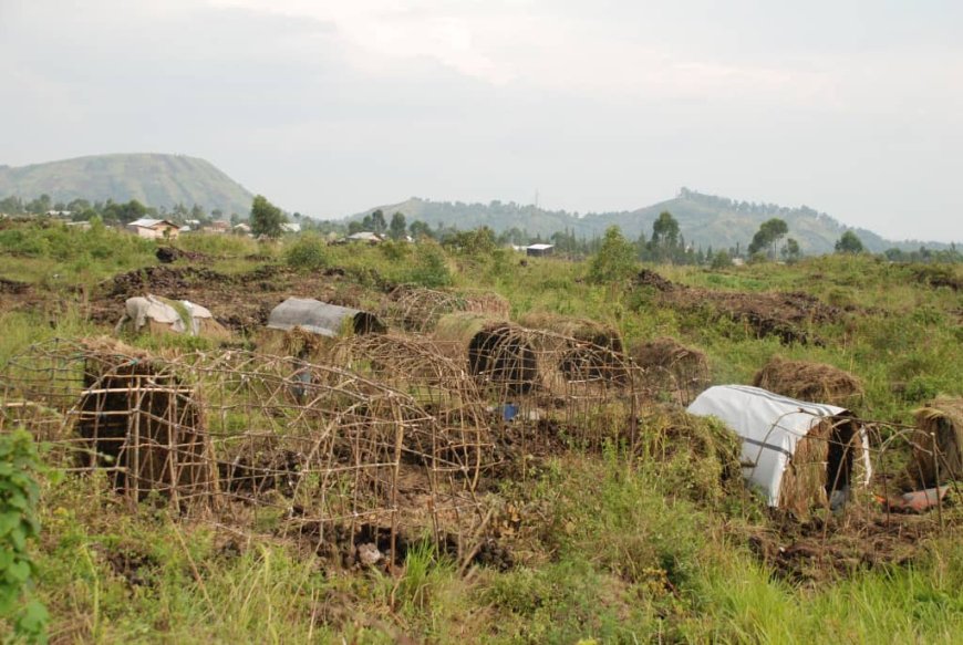 Guerre dans l’Est :  7 civils tués par les M23 à Rutshuru pour avoircollaboré avec les jeunes résistants Wazalendo (communiqué FARDC)