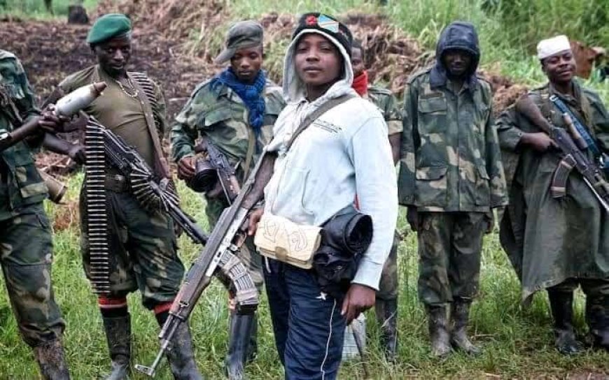 Agression Rwandaise dans l'Est de la RDC : Libération du Masisi par les Wazalendo, l'autorité provinciale invite les services de l'État à reprendre leurs postes 