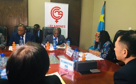 Mines : Les mandataires, cadres et agents de la Gecamines appelés à restituer plus de 10 millions USD du paiement de « primes exorbitantes » perçus à la SIMCO