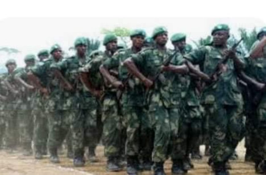 [Tribune] « Ce que je pense : Les vrais problèmes de notre armée, les FARDC », Thomas Luhaka