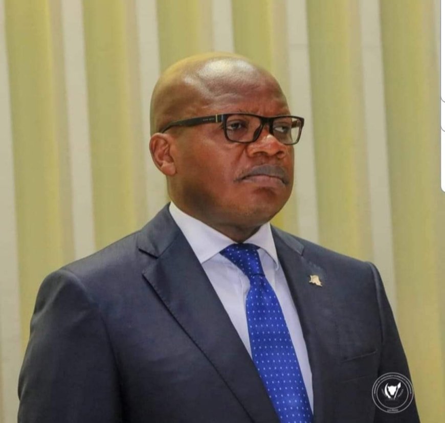 [Tribune] « LA RDC : UN ÉTAT FAILLI ? », Thomas Luhaka 