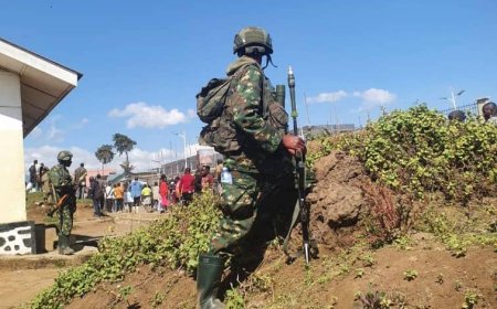 Guerre dans l'Est : « le Rwanda doit quitter la RDC », le représentant des USA au conseil de sécurité de l'ONU