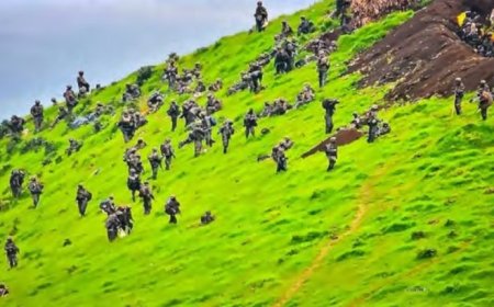 Guerre dans l’Est : Un nouveau rapport(2024) de l’ONU fournit de nouvelles preuves de la présence rwandaise sur le sol congolais ainsi que de sa collaboration avec le M23