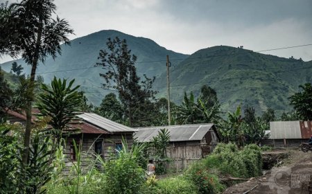 Guerre dans l'Est : collaboration entre M23 et le groupe rebelle du Sud-Kivu « Twirwaneho » confirmée dans le rapport de l'ONU