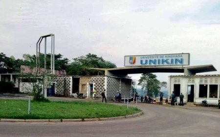 Fraude électorale en RDC : L'APUKIN insiste sur la radiation de tous les professeurs(candidats) invalidés par la CENI 