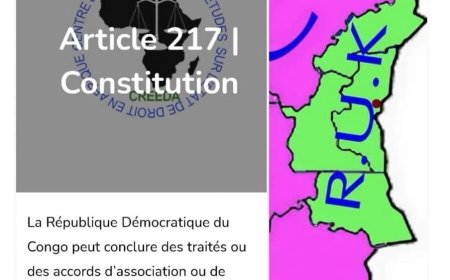 [Tribune] : « Tout le malheur des Kongolais de l'Est de la RDC vient de l'article 217 de la constitution», (Mingiedi Mbala N'zeteke Charlie Jephthé) 