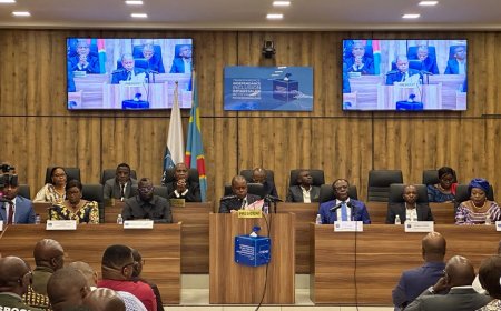RDC : Voici la liste des 477 députés nationaux provisoirement élus 