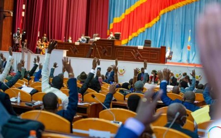 Assemblée Nationale : Les 477 élus pourraient se réunir en extraordinaire le 29 janvier prochain 