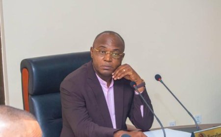 Investiture de Félix Tshisekedi : Gentiny Ngobila en réunion avec les bourgmestres, chefs des quartiers et des rues de Kinshasa ce jeudi