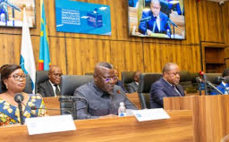 RDC : La liste des conseillers communaux de Kinshasa (première partie)