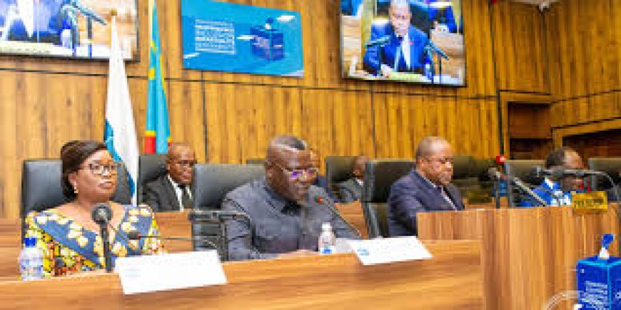 RDC : La liste des conseillers communaux de Kinshasa (première partie)
