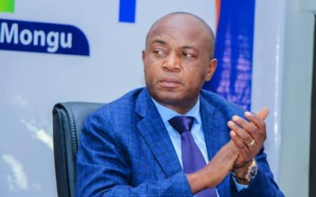 Kinshasa : Gentiny Ngobila remplace les ministres provinciaux élus députés, voici le nouveau gouvernement réaménagé 