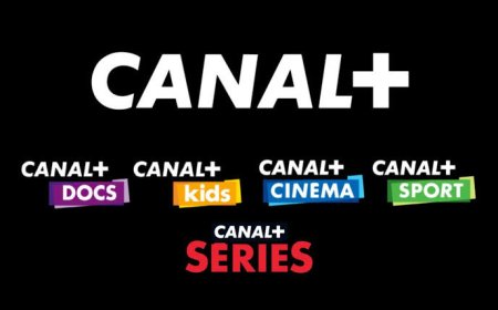 RDC : Censure des images congolaises lors de la demi-finale, Canal + se blanchit 