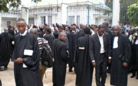 Maï-Ndombe : Plus de 200 avocats du Barreau près la Cour d’appel suspendus notamment pour escroquerie, voici la liste