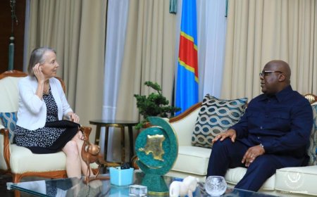 Guerre dans l’Est : « Nous avons mené une diplomatie de très haut niveau », Lucy Tamlyn (ambassadrice des USA)