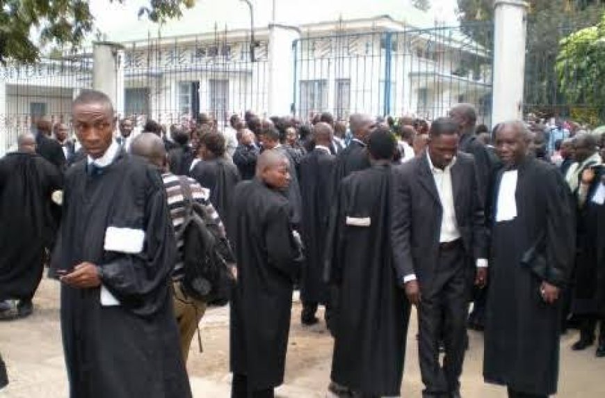 Maï-Ndombe : Plus de 200 avocats du Barreau près la Cour d’appel suspendus notamment pour escroquerie, voici la liste