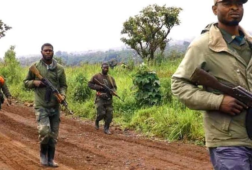Goma : au moins 5 morts et des blessés dans une altercation entre les Wazalendo et les FARDC