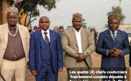 Ituri : 4 Chefs coutumiers complètent l'Assemblée Provinciale de l'Ituri par cooptation