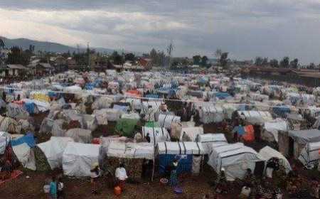 Guerre dans l’Est : Plus de 2 millions de déplacés internes vivent dans des conditions difficiles