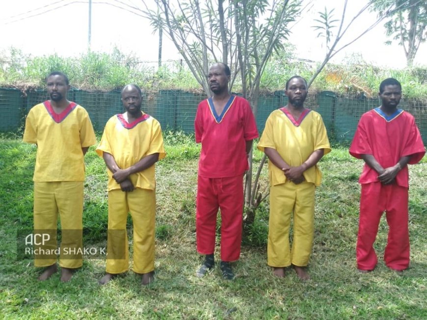 Guerre dans l’Est : 5 complices du M23 dont 2 députés provinciaux de l’Ensemble présentés à la presse