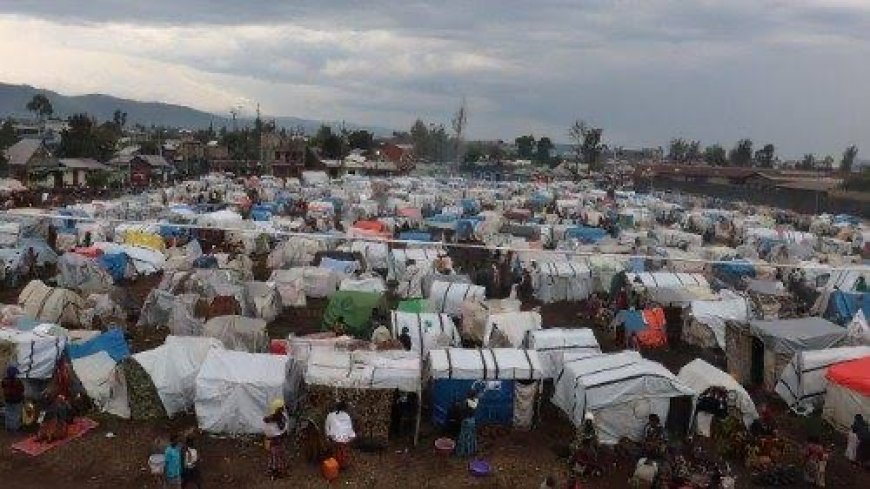 Guerre dans l’Est : Plus de 2 millions de déplacés internes vivent dans des conditions difficiles