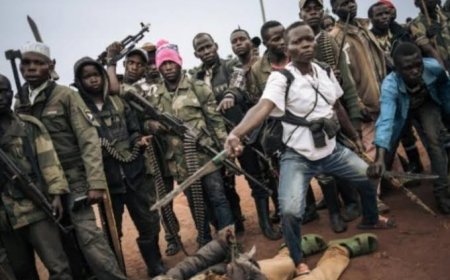 Ituri : 48 civils tués et 45 autres pris en otage par des groupes armés en mars 2024