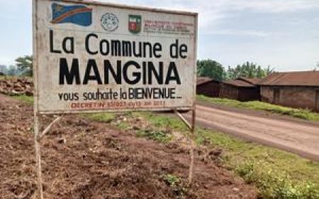 Beni : 10 civils tués dans une attaque des ADF à Mangina