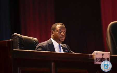 Erreurs matérielles : Serge Bahati et Jean Bakomito récupèrent leur siège à l’Assemblée nationale, Christophe Nangaa tombe