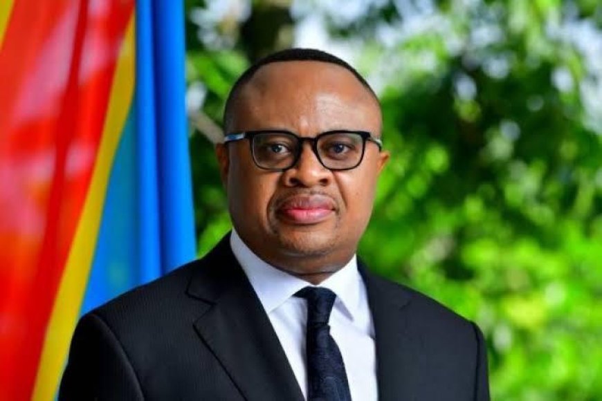 DRC: « Adui wa Tshisekedi ni Fatshi Béton. Ni yeye peke yake ambaye anaahidi na hatekeleze », Claudel Lubaya