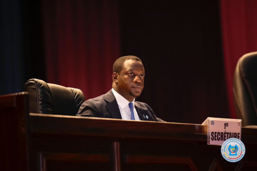 Erreurs matérielles : Serge Bahati et Jean Bakomito récupèrent leur siège à l’Assemblée nationale, Christophe Nangaa tombe