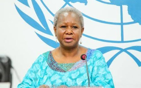 Goma  : La Monusco condamne fermement le bombardement meurtrier de sites des déplacées 