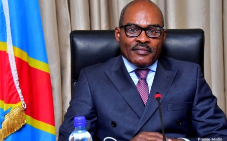 Dossier forages : l’Assemblée nationale autorise les poursuites judiciaires contre Nicolas Kazadi 