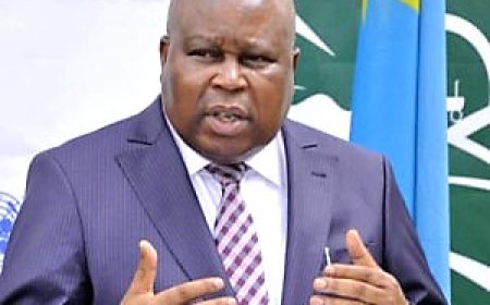 Dossiers forages : François Rubota et Mike Kasenga acheminés à Makala