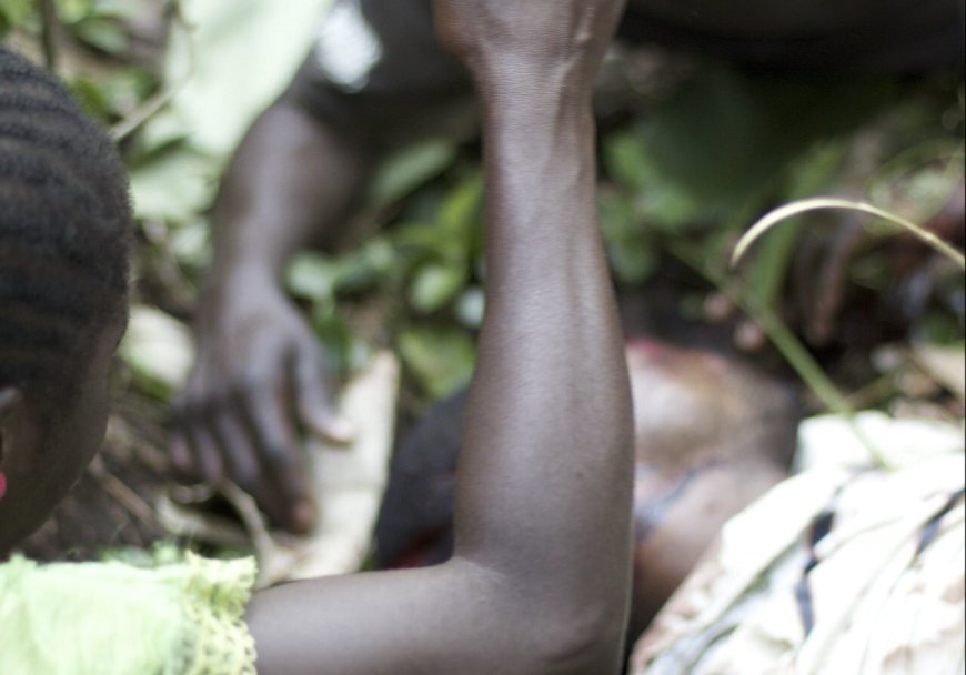 Nord-Kivu : près de 80 morts dans une série d’attaques des ADF à Beni