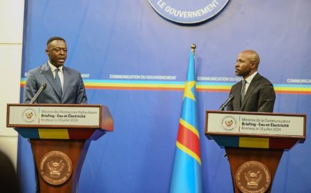 Énergie : « nous importons 250 mégawatts de la Zambie », Teddy Lwamba