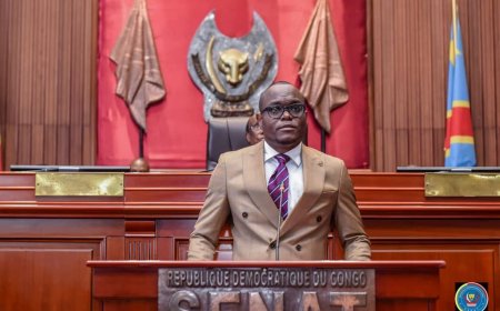 RDC : Le dépôt des candidatures du bureau définitif du sénat reporté au 2 août prochain