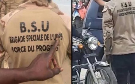 Kinshasa : La PNC déboute plus d'une centaine des combattants de la force du progrès de l'UDPS à Gramalic