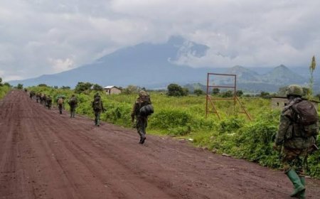 Guerre dans l’Est : le M23 viole le cessez-le-feu et s’empare de la cité frontalière de Ishasha