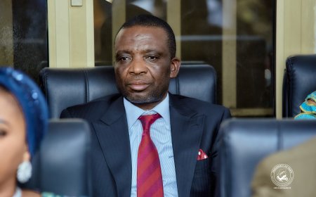 Élection au sénat : l’UDPS désigne Afani Idrissa Mangala comme candidat à la présidence 