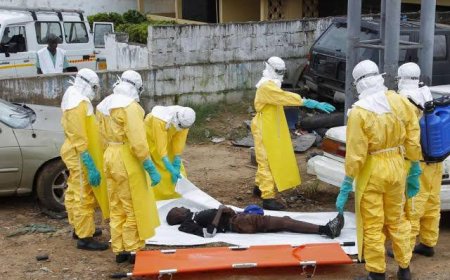 Mpox : 5 communes de Kinshasa touchées